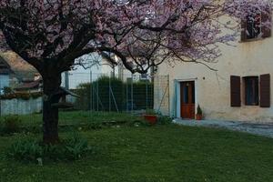 Casa padronale