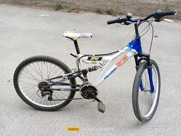 bicicletta Regina 