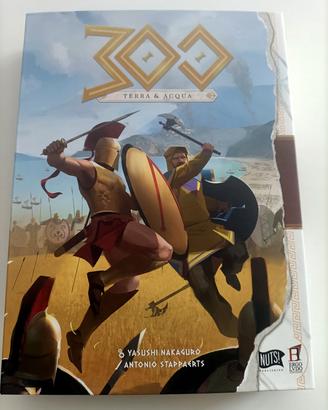 gioco da tavolo 300