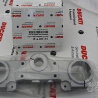 Piast.Forc.Super. x Ducati Monster 400/600/750/900