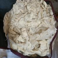 lana di pecora grezza