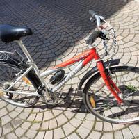 bicicletta ragazzina