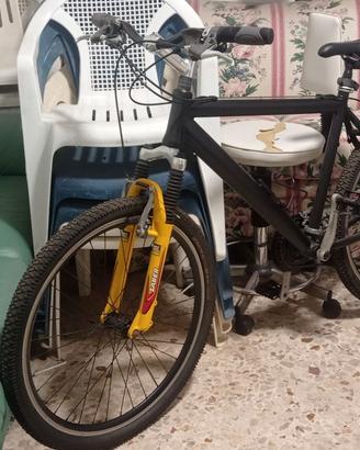 Bicicletta Mountain Bike