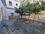 Immagine 29