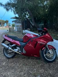 🏍️ HONDA CBR 1100XX BLACKBIRD — 2001 | ASI