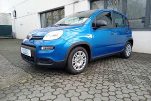 FIAT Panda 1.0 MILD HYBRID MANUALE PANDINA OK NE