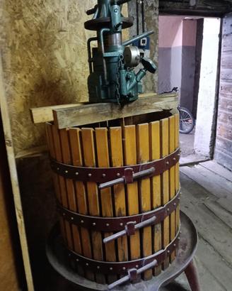 Torchio per uva vino vendemmia