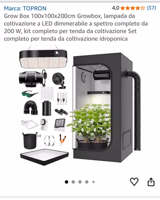 Grow Box