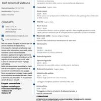 Manovale edile - Imbianchino