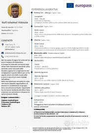 Manovale edile - Imbianchino