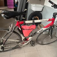 Bici da corsa PERSONAL BIKE AMIGHETTI