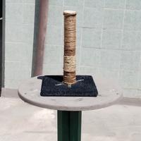 Tiragraffi per gatti omaggio 