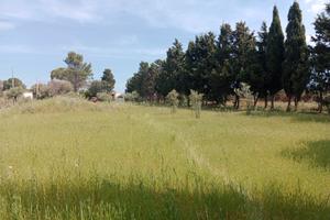 Terreno agricolo