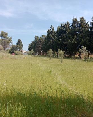 Terreno agricolo