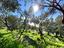 Immagine 26
