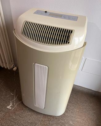 Climatizzatore e deumidificatore portatile Airwell