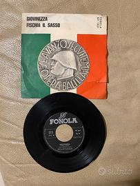 Disco Vinile 33 giri