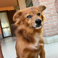 Laki 10 anni di simpatia