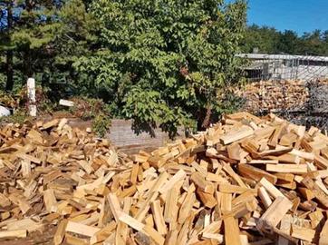 legna da ardere secca 