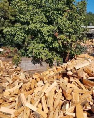 legna da ardere secca 