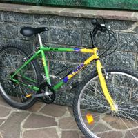 Mountain bike