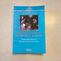 S. Rizzolino - Angelus Domini nuntiavit Mariae