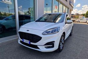FORD Kuga 1.5 EcoBoost 150 CV 2WD ST-Line