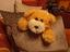 Immagine 2