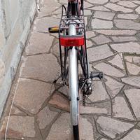 Bicicletta da donna Vicini 