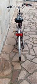 Bicicletta da donna Vicini 