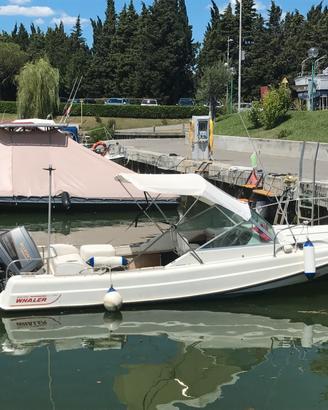 Boston Whaler revenge 21
