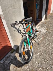 Bicicletta 24'