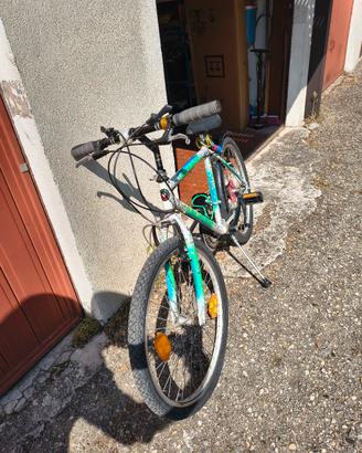 Bicicletta 24'