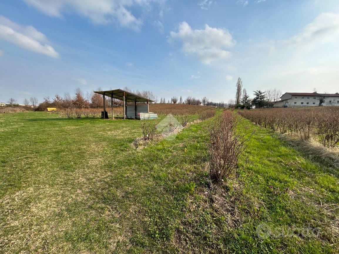 TER. AGRICOLO A BRICHERASIO - Vista 2
