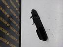 pulsantiera-anteriore-sinistra-fiat-punto-evo-09-