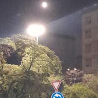 Aiuto domestico con alloggio