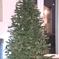 Albero di Natale