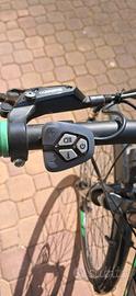 bottecchia be19