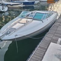Sea ray 220