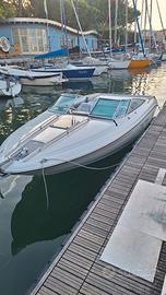 Sea ray 220