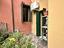 Immagine 13