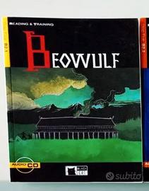 Libro vacanze inglese black cat 