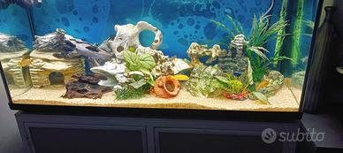 Acquario 120x40x55