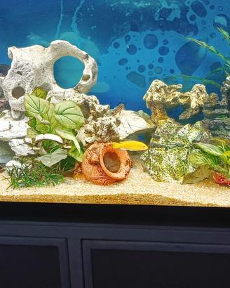 Acquario 120x40x55