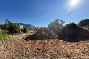 Case rurale, Cinisi.