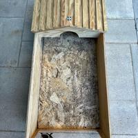 Terrario per tartarughe di terra