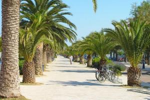 Bilocale 3/4 posti letto San Benedetto