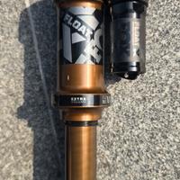 Fox Float X Factory Trunnion Evol LV Kashima 