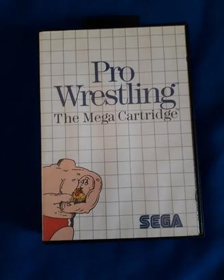 Pro Wrestling (Sega Master System)