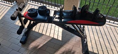 Panca da Allenamento, Regolazioni Multiple